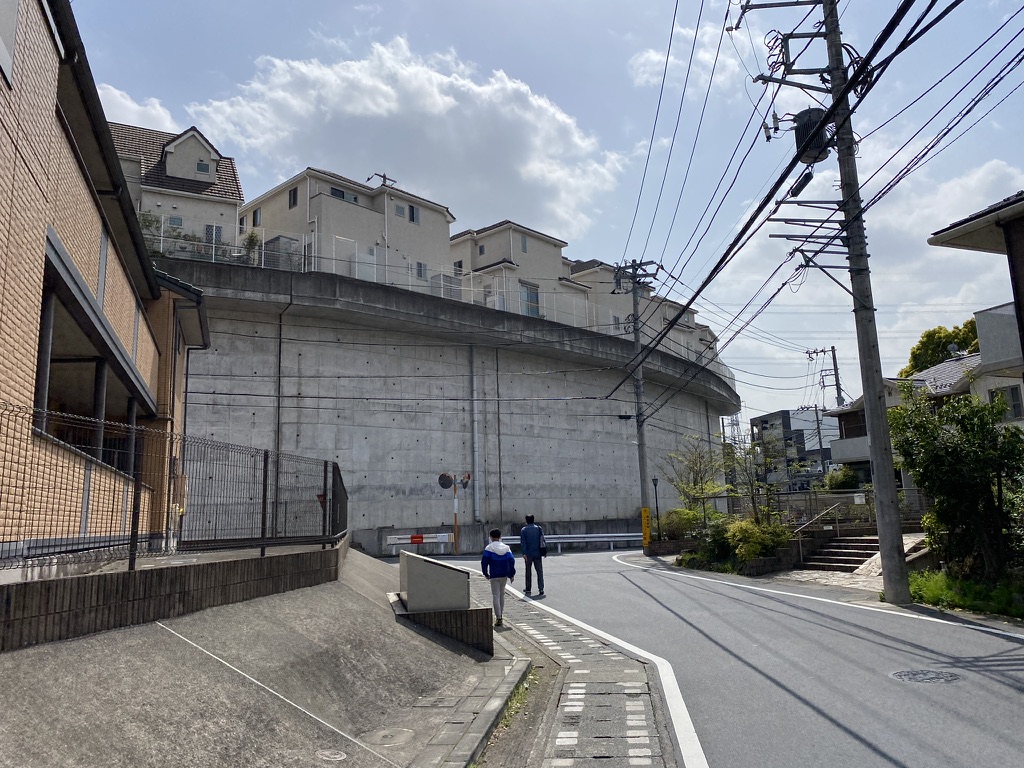 f:id:TrpFrog:20210403014239j:plain