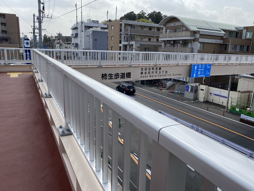 f:id:TrpFrog:20210403015241j:plain