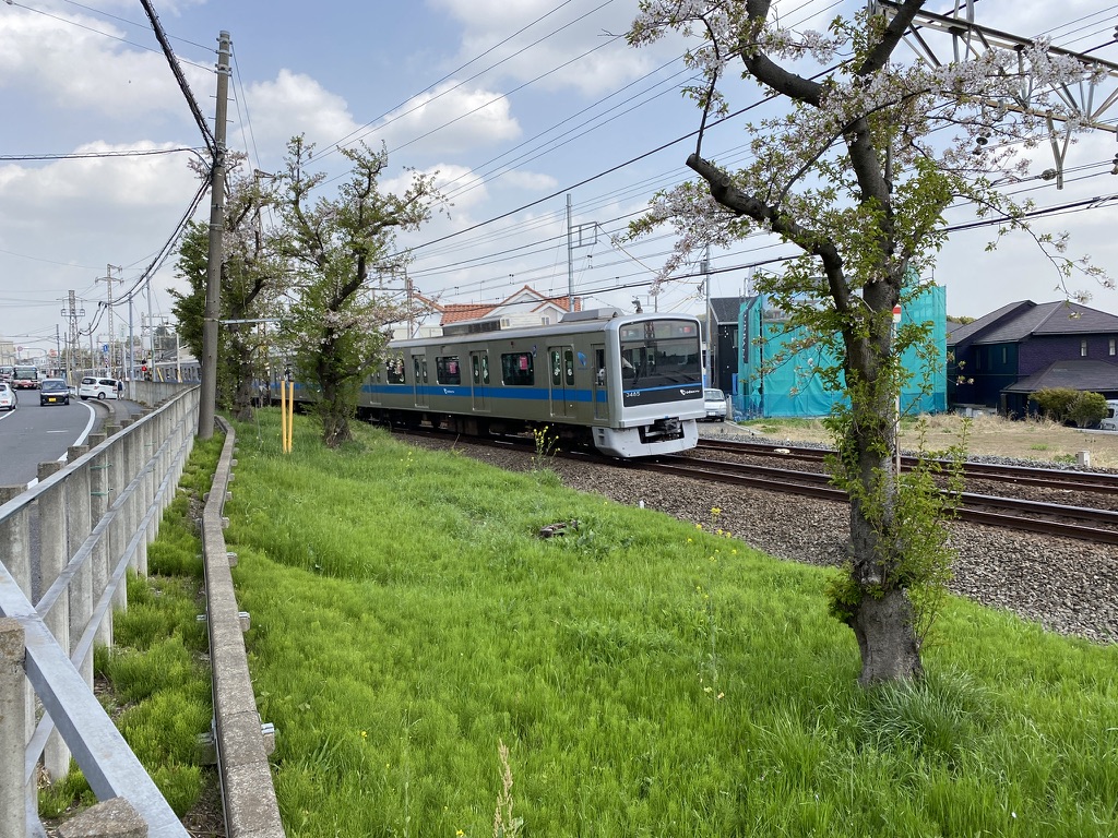 f:id:TrpFrog:20210403015350j:plain