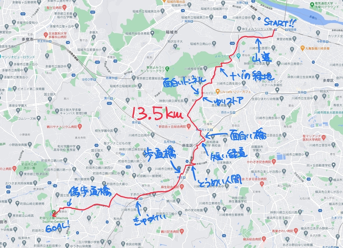 f:id:TrpFrog:20210403015450j:plain