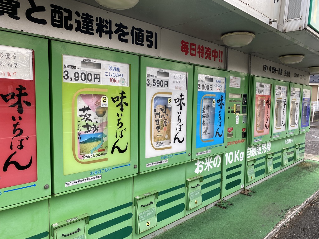 f:id:TrpFrog:20210403020456j:plain