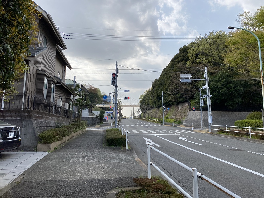 f:id:TrpFrog:20210403020814j:plain