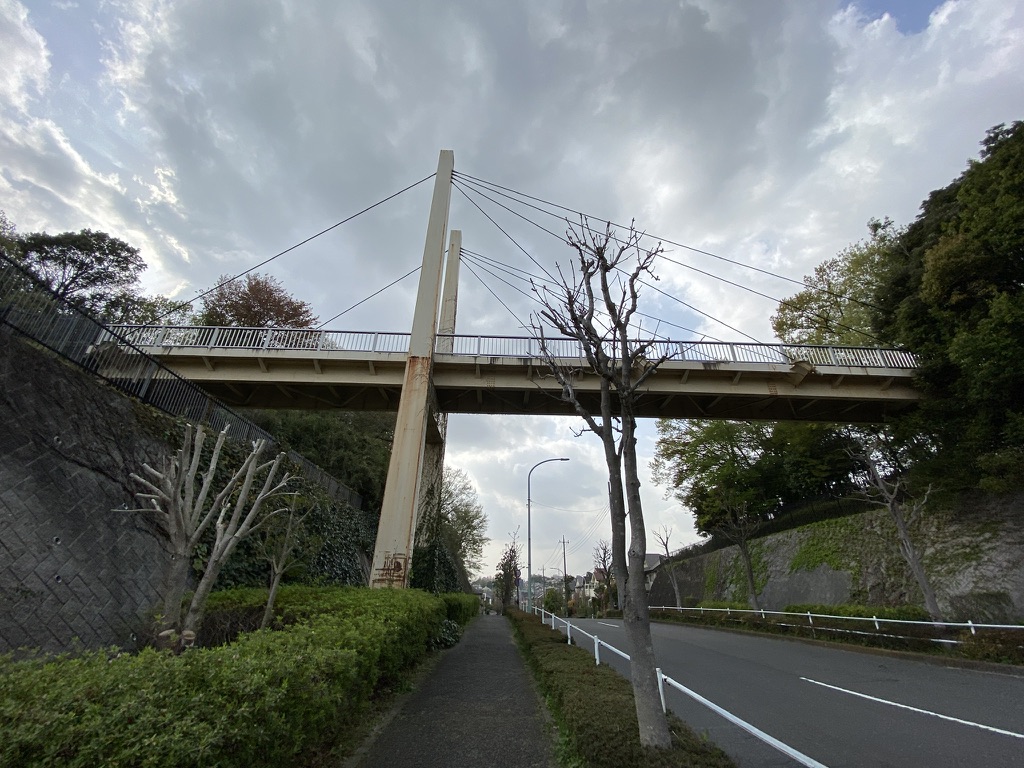 f:id:TrpFrog:20210403020846j:plain