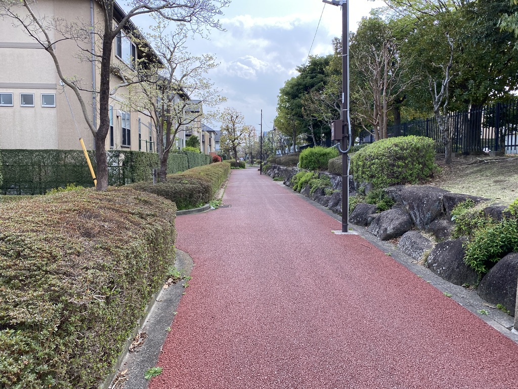 f:id:TrpFrog:20210403021012j:plain