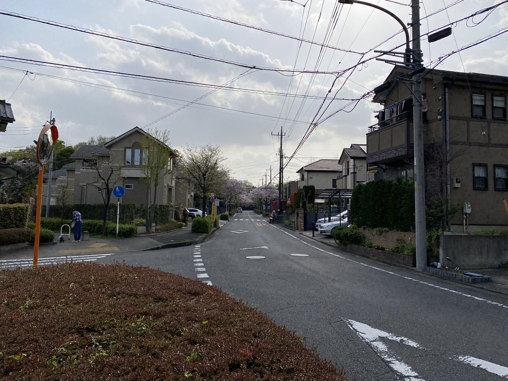 f:id:TrpFrog:20210403021105j:plain