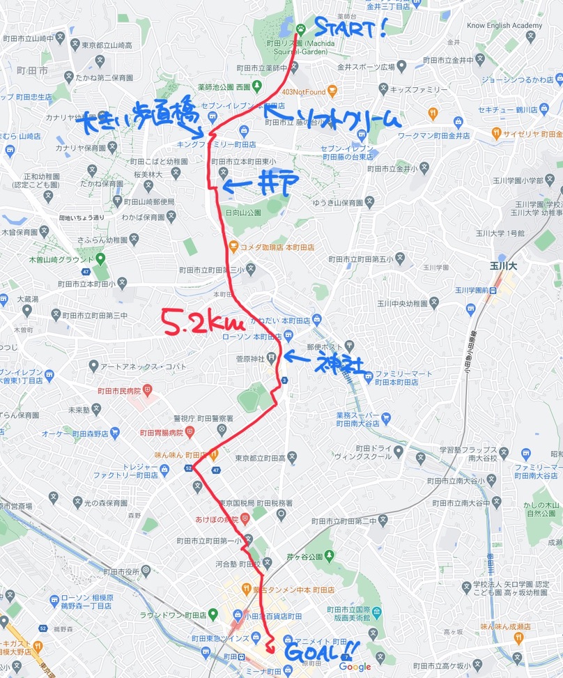 f:id:TrpFrog:20210403153524j:plain