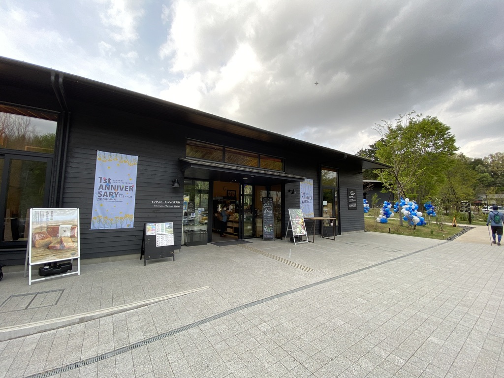 f:id:TrpFrog:20210403154039j:plain