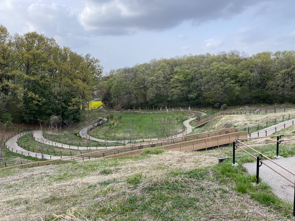 f:id:TrpFrog:20210403154103j:plain