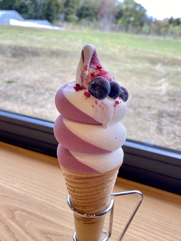 f:id:TrpFrog:20210403154231j:plain