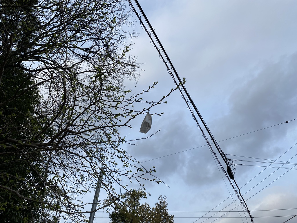 f:id:TrpFrog:20210403155241j:plain