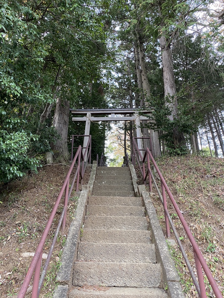 f:id:TrpFrog:20210403155307j:plain