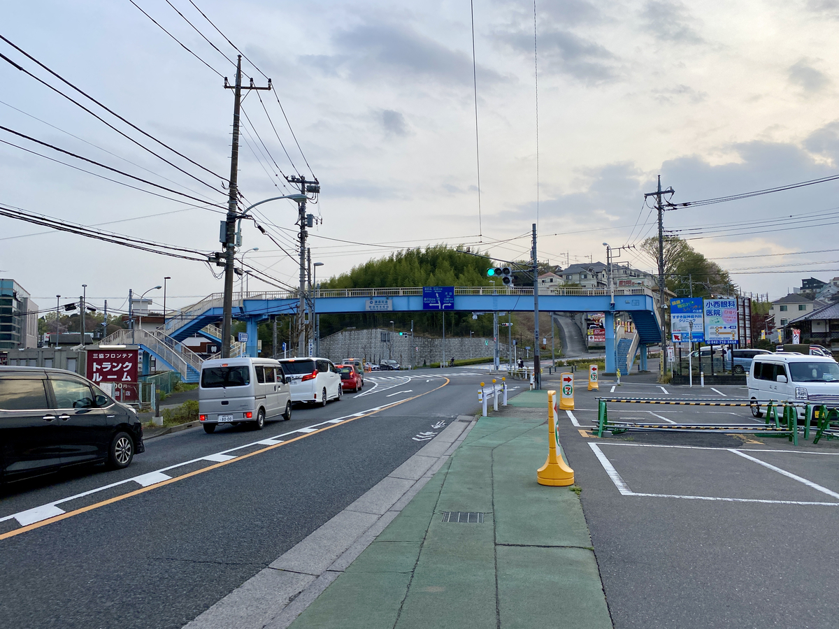 f:id:TrpFrog:20210403155405j:plain