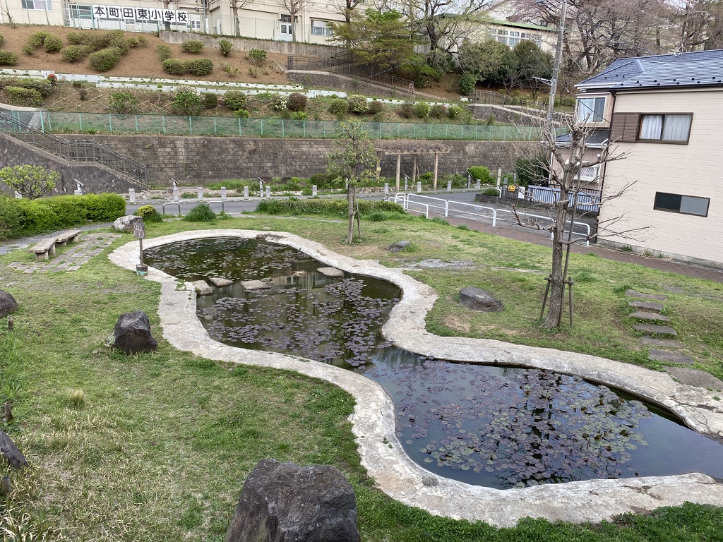 f:id:TrpFrog:20210403160527j:plain