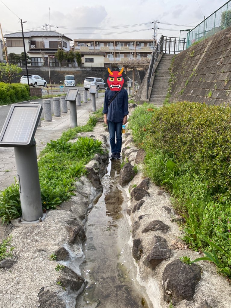 f:id:TrpFrog:20210403160916j:plain