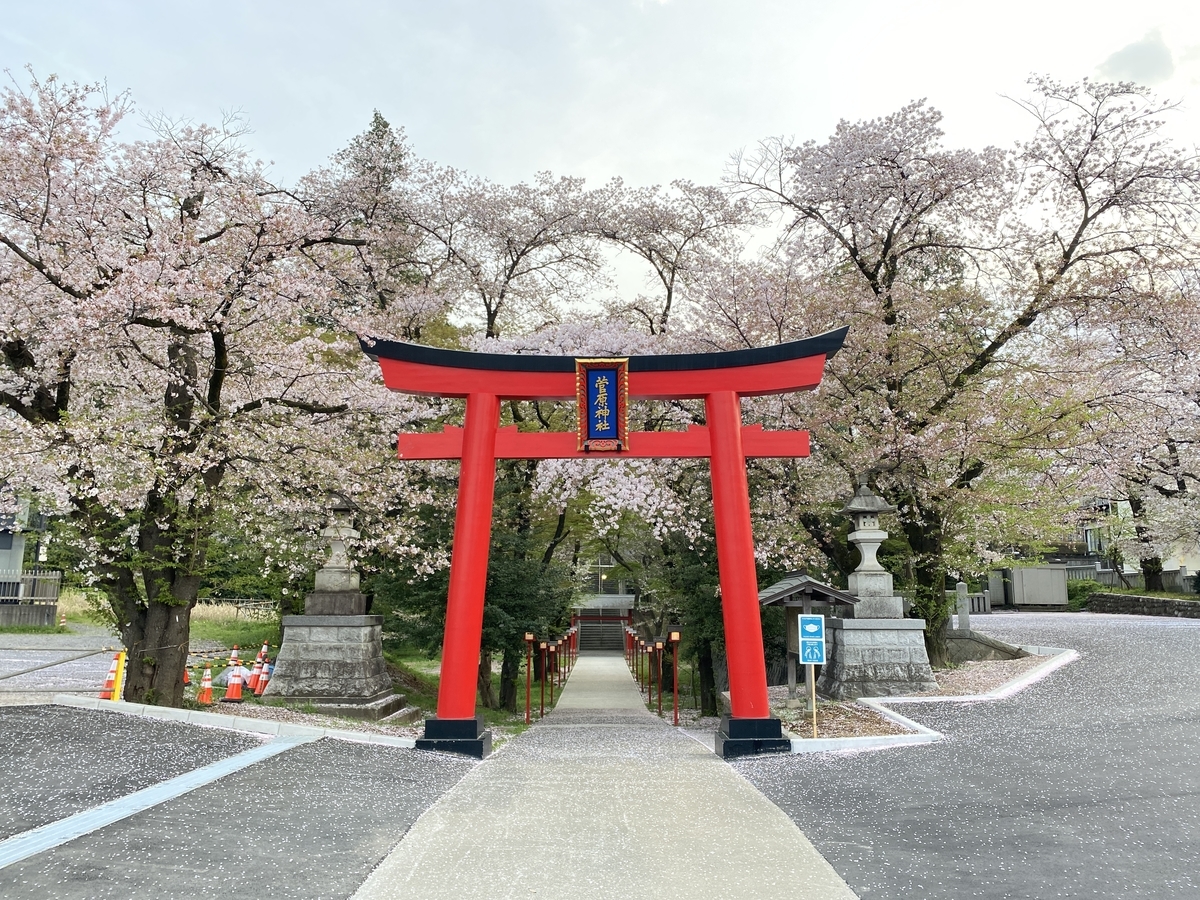 f:id:TrpFrog:20210403161548j:plain