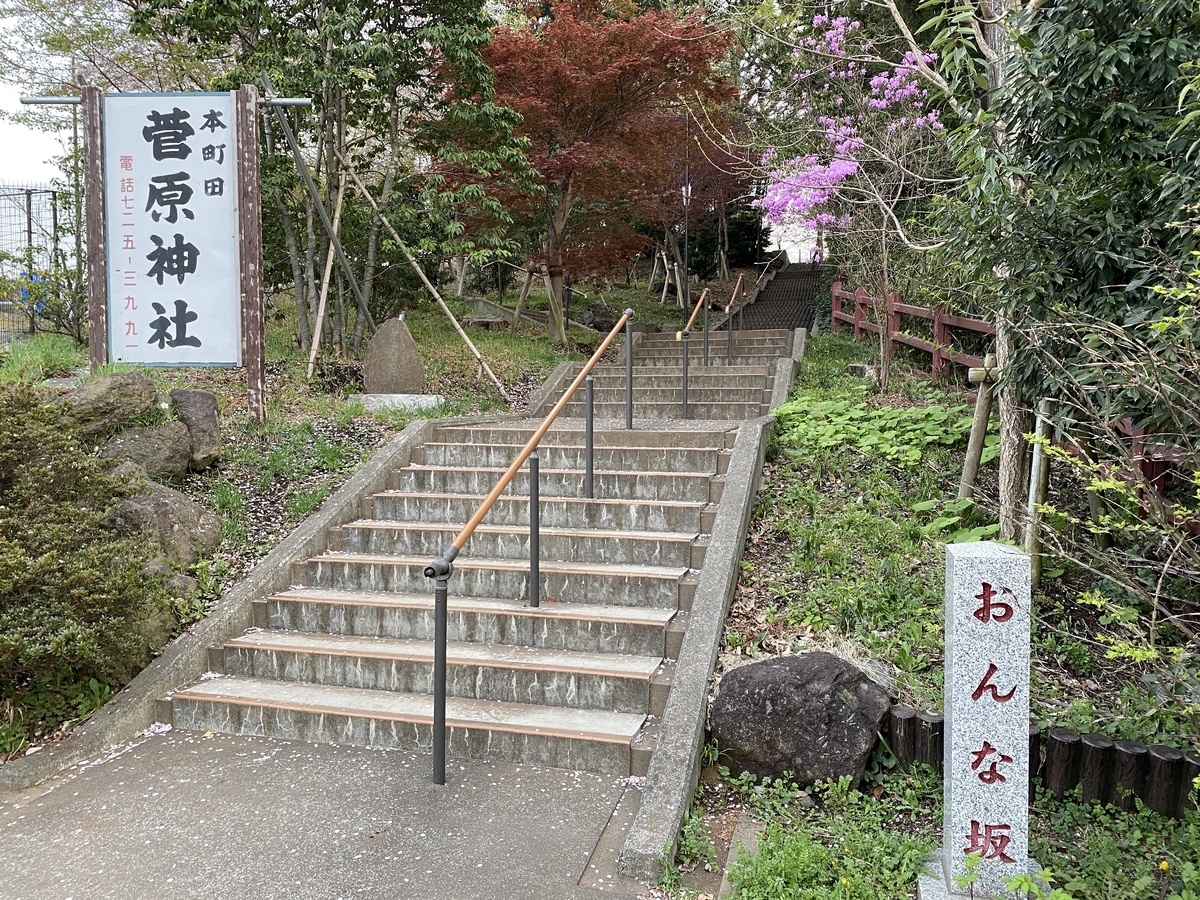 f:id:TrpFrog:20210403161756j:plain