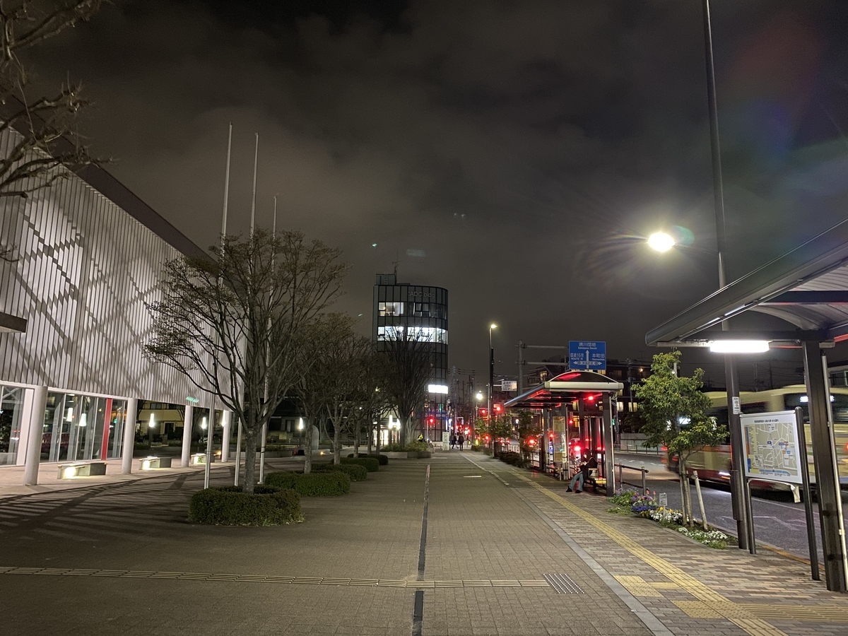 f:id:TrpFrog:20210403171854j:plain