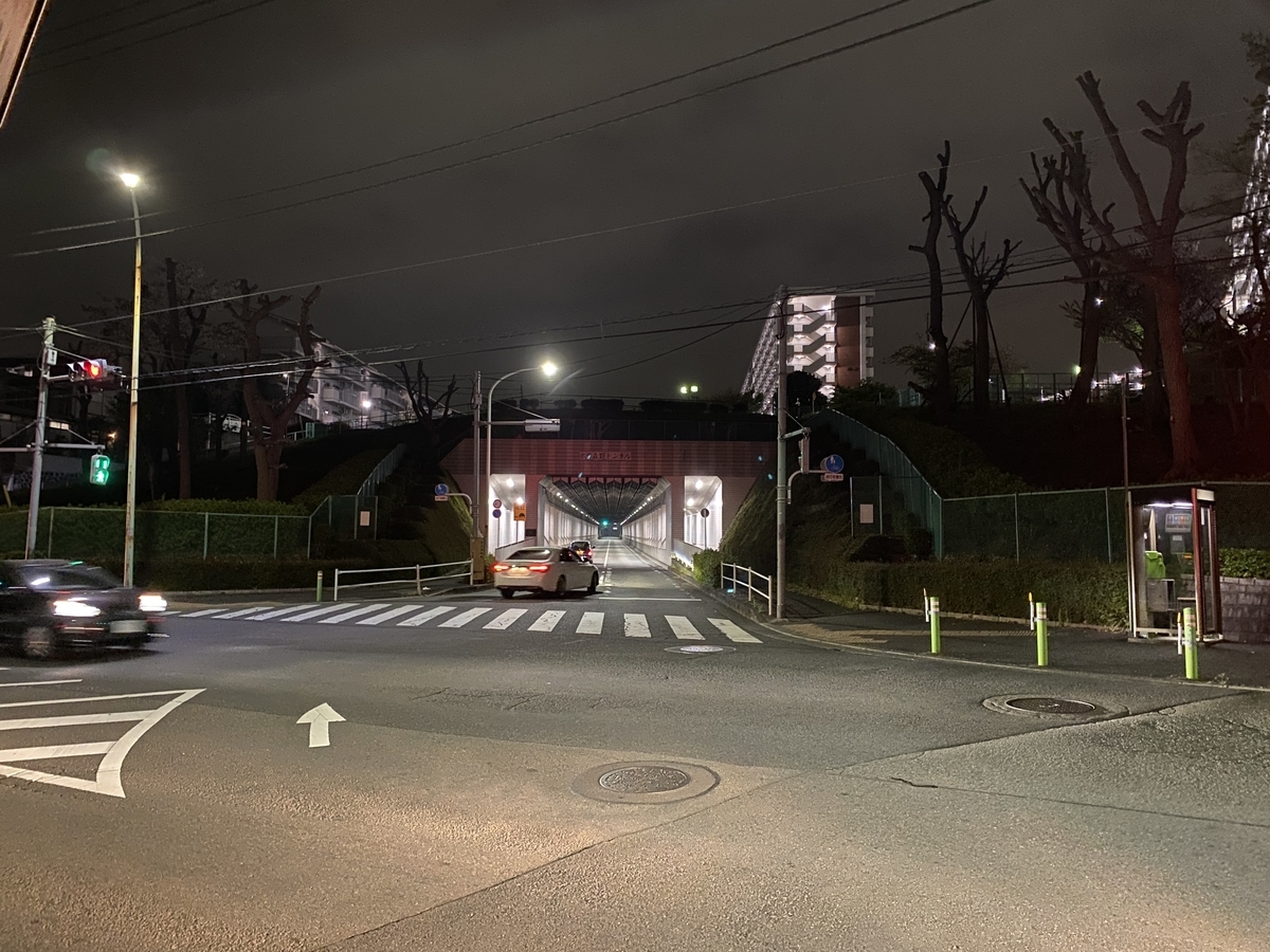 f:id:TrpFrog:20210403172015j:plain