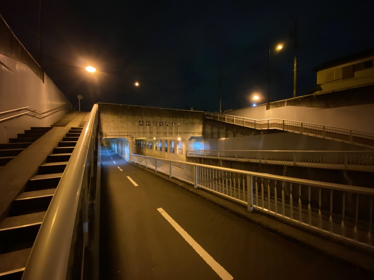 f:id:TrpFrog:20210403172449j:plain