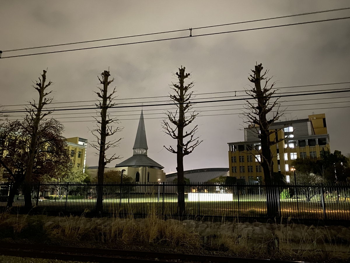 f:id:TrpFrog:20210403172534j:plain