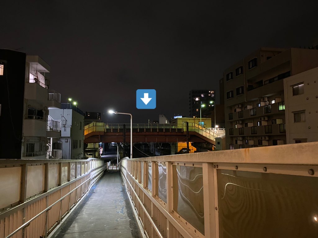 f:id:TrpFrog:20210403173226j:plain