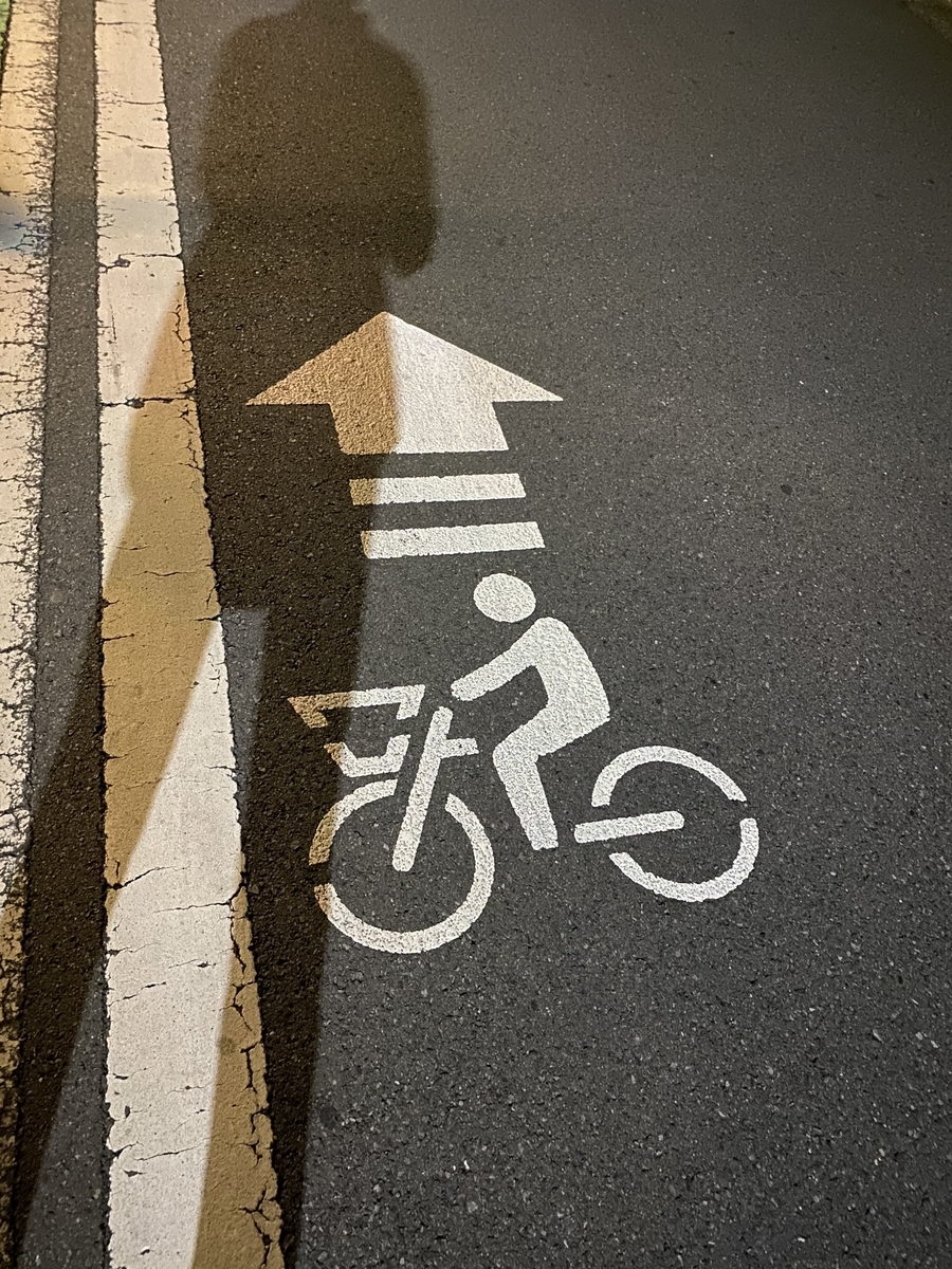 f:id:TrpFrog:20210403175150j:plain