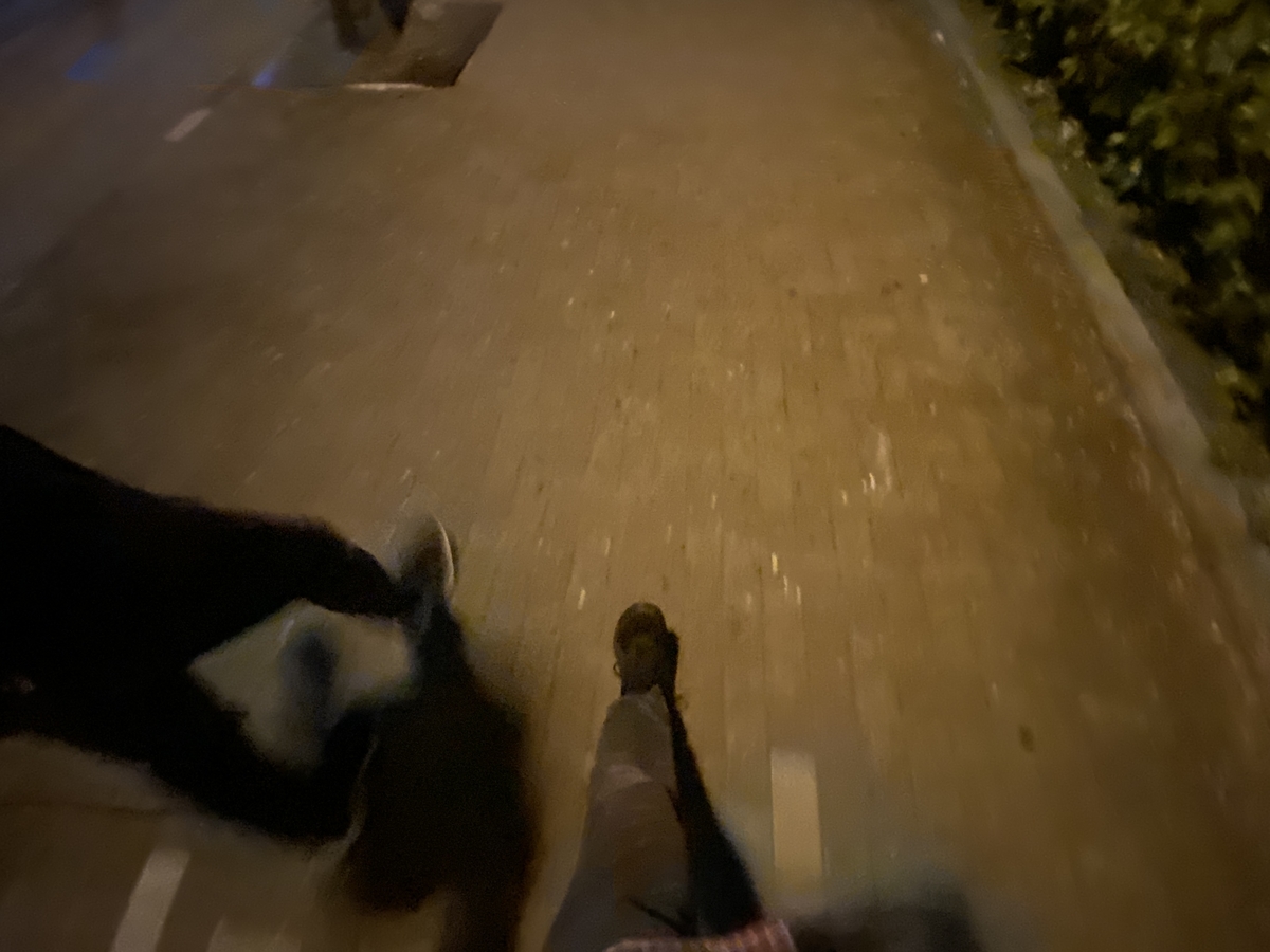 f:id:TrpFrog:20210403180426j:plain