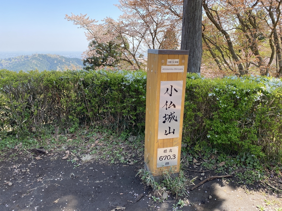 f:id:TrpFrog:20210408201801j:plain