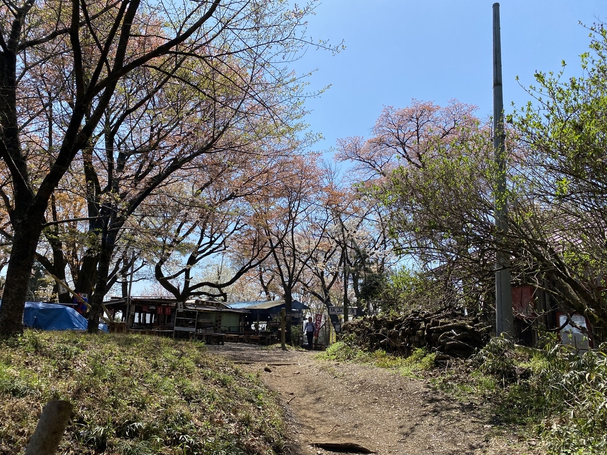 f:id:TrpFrog:20210408201928j:plain