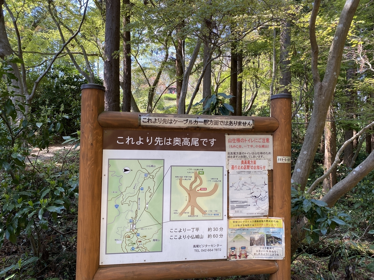 f:id:TrpFrog:20210408210337j:plain