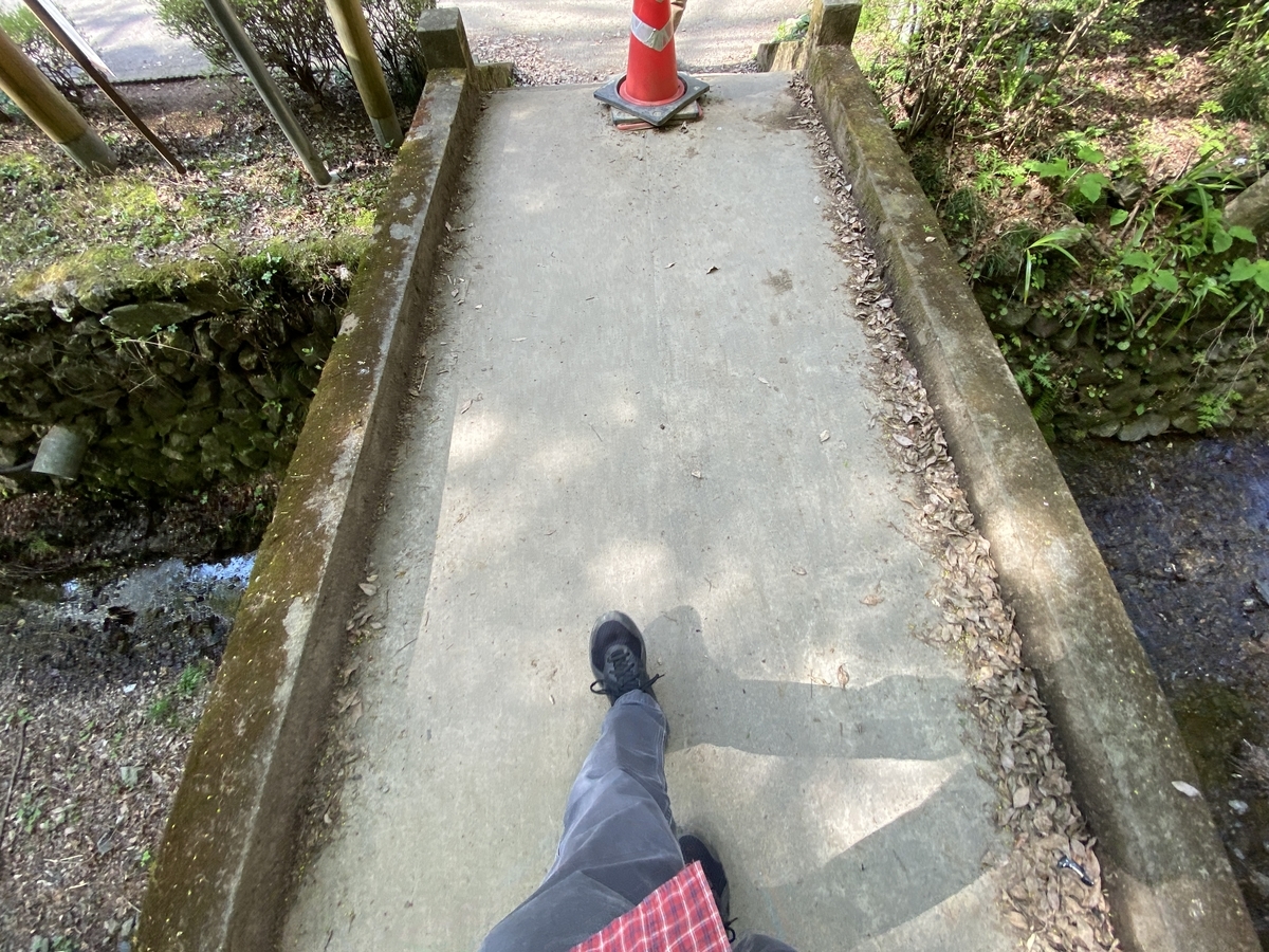 f:id:TrpFrog:20210410033422j:plain