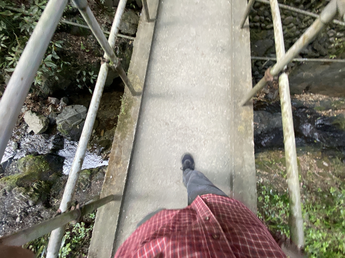 f:id:TrpFrog:20210410035048j:plain