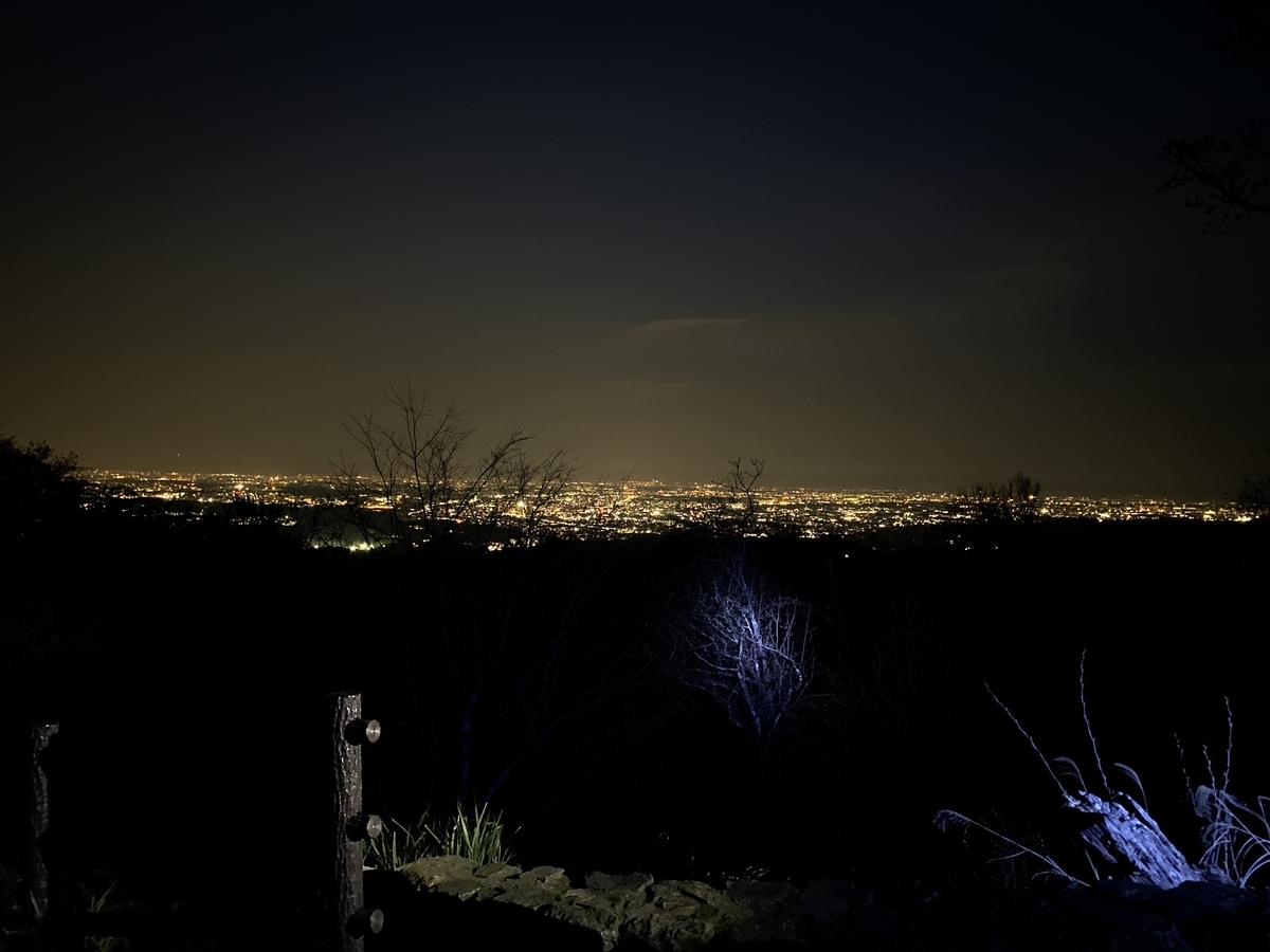 f:id:TrpFrog:20210410050942j:plain