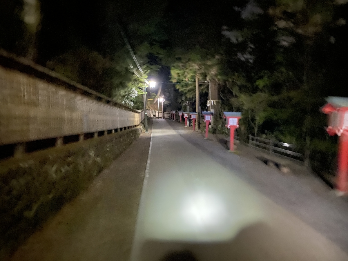 f:id:TrpFrog:20210410052433j:plain