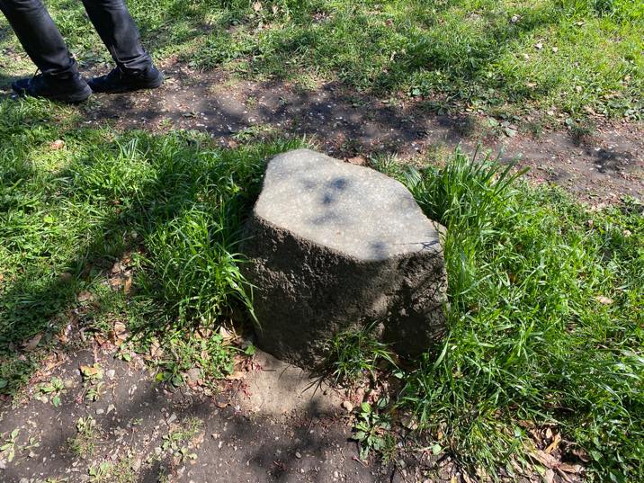 f:id:TrpFrog:20210421033232j:plain