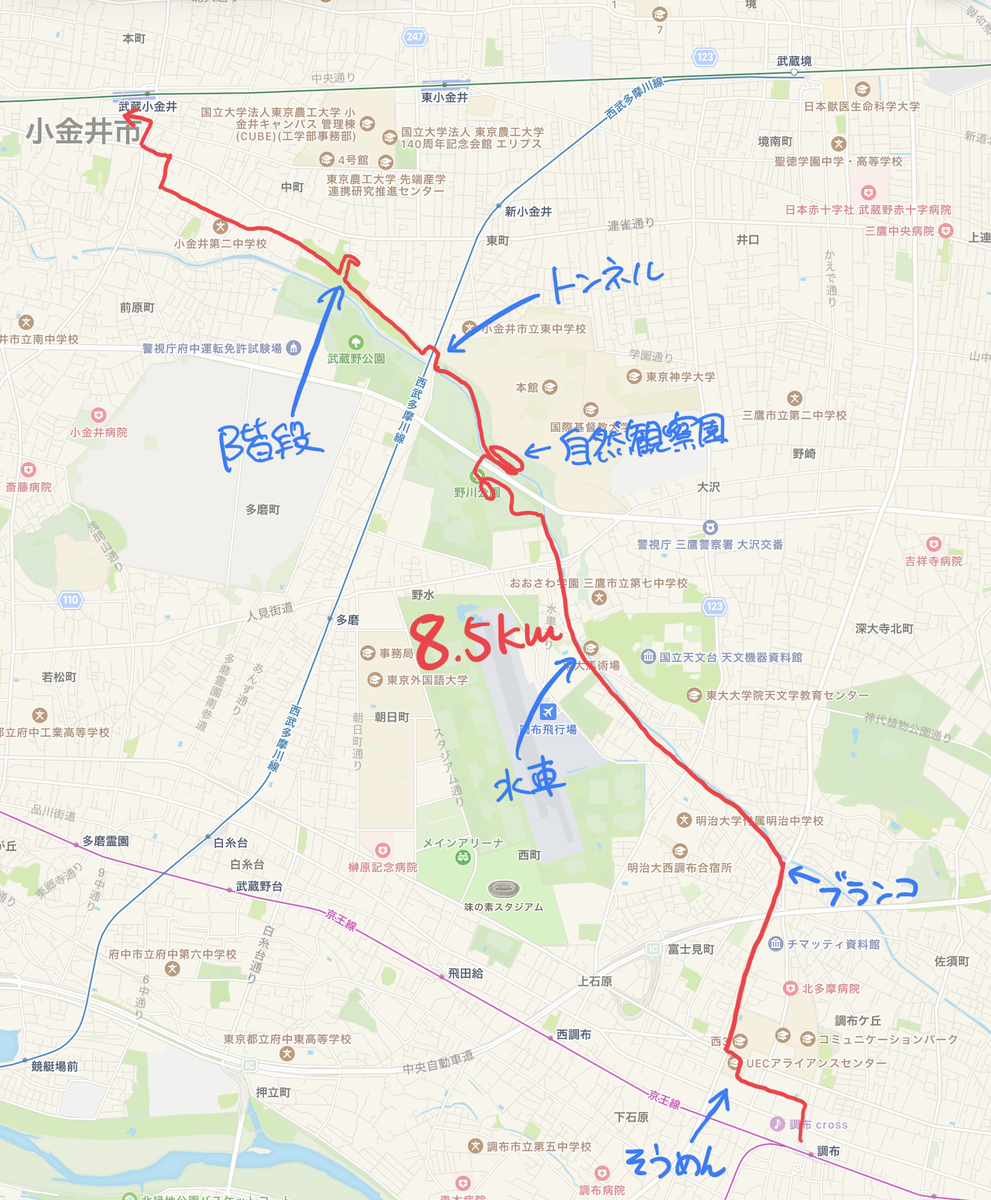 f:id:TrpFrog:20210504014719j:plain