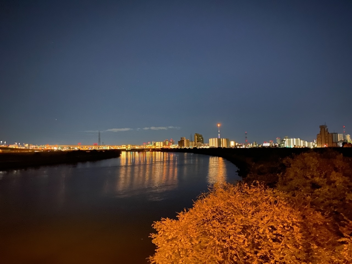 f:id:TrpFrog:20211205140151j:plain