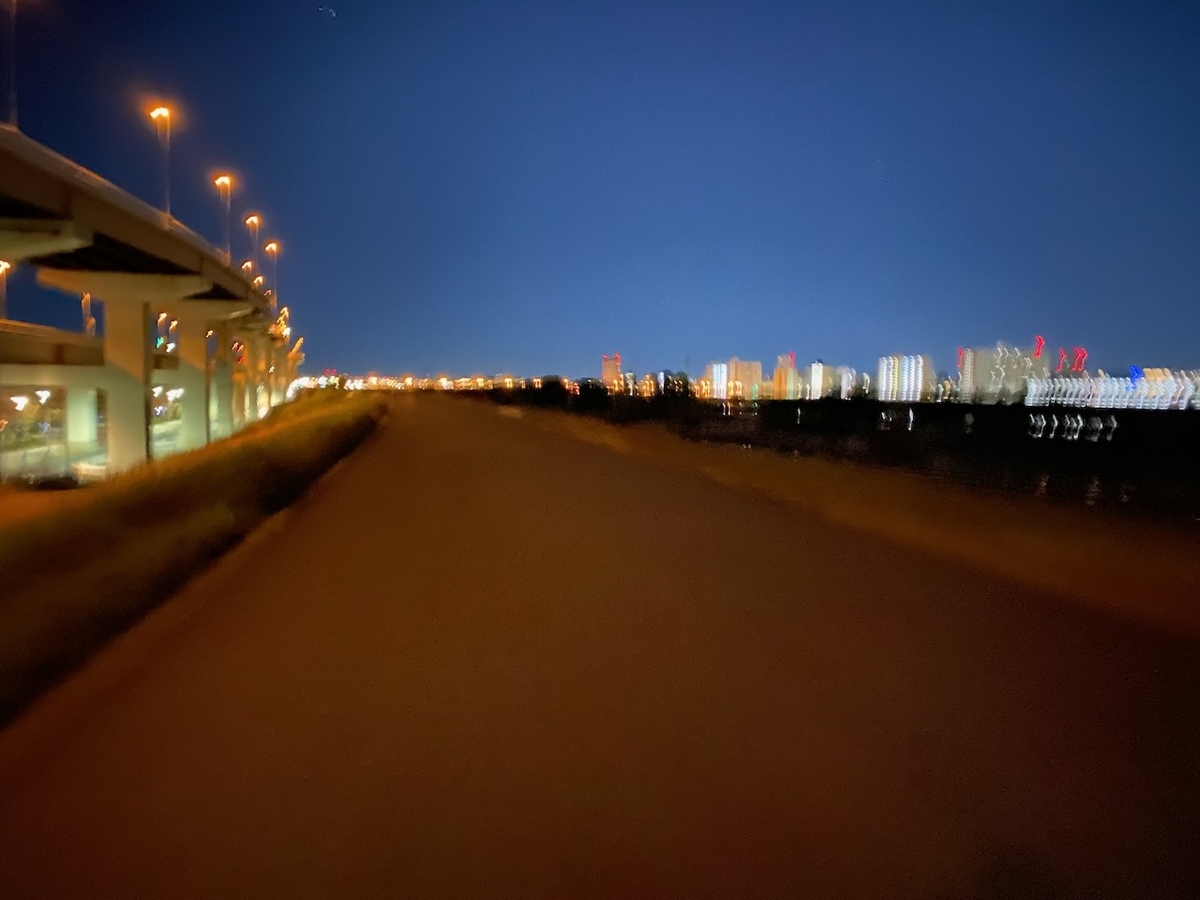 f:id:TrpFrog:20211205141857j:plain