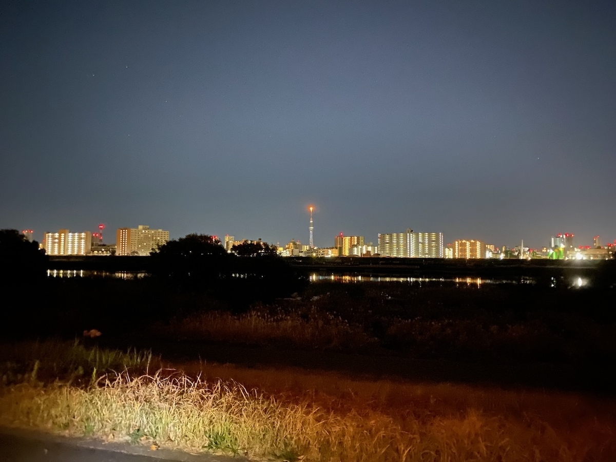 f:id:TrpFrog:20211205142028j:plain