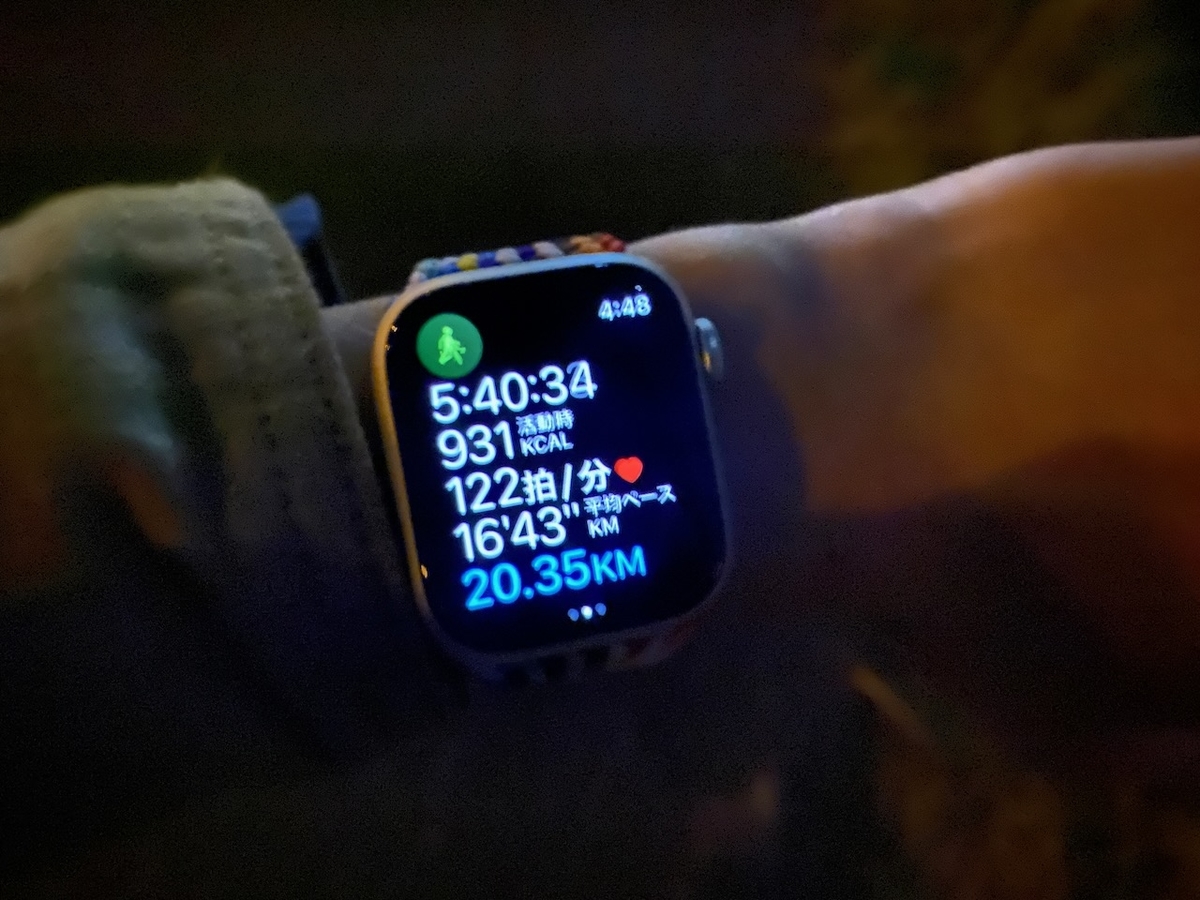 f:id:TrpFrog:20211205143606j:plain