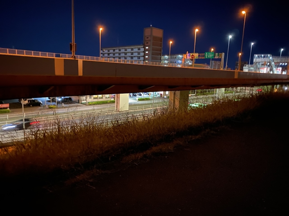 f:id:TrpFrog:20211205143857j:plain