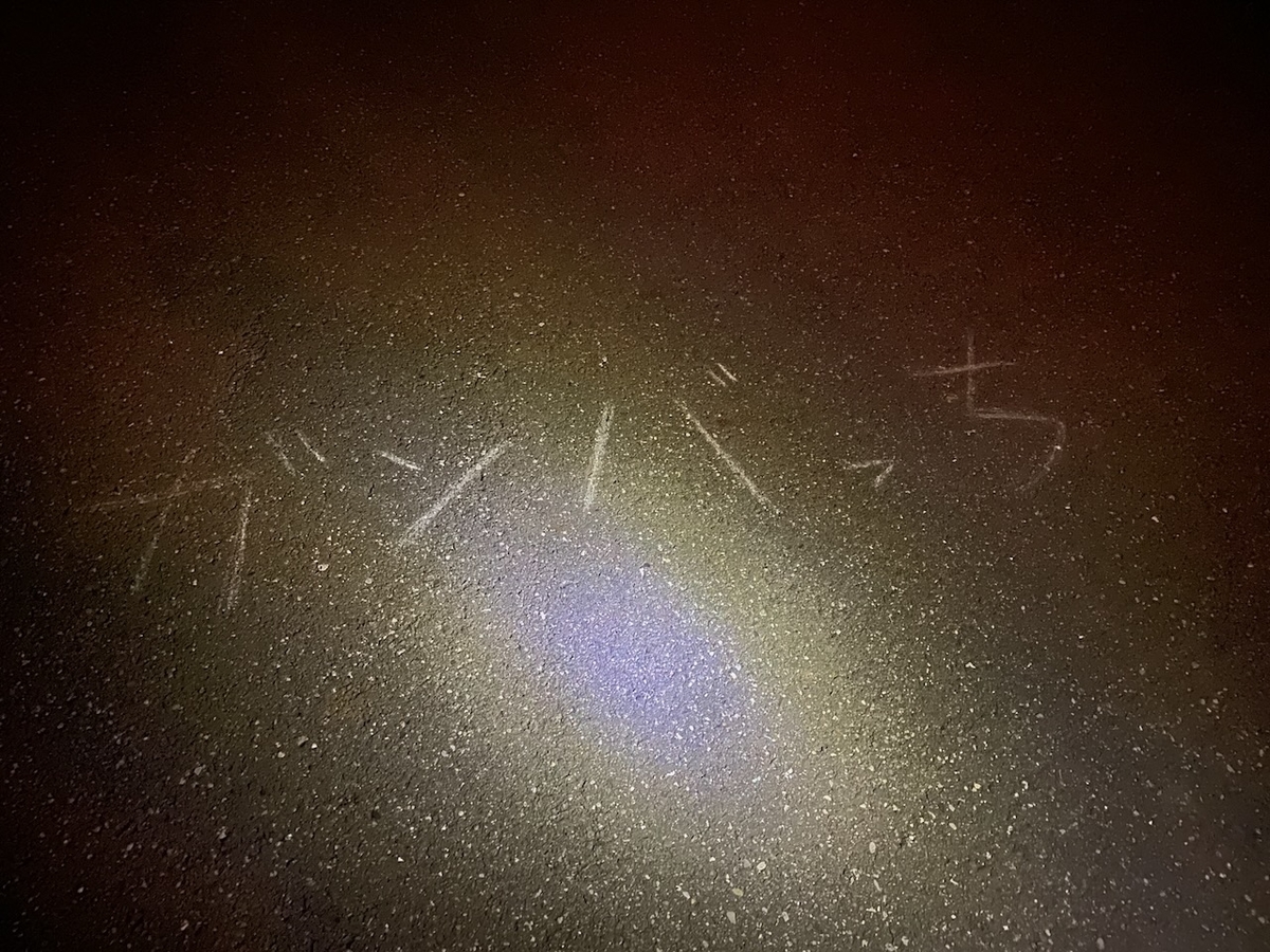 f:id:TrpFrog:20211205143948j:plain