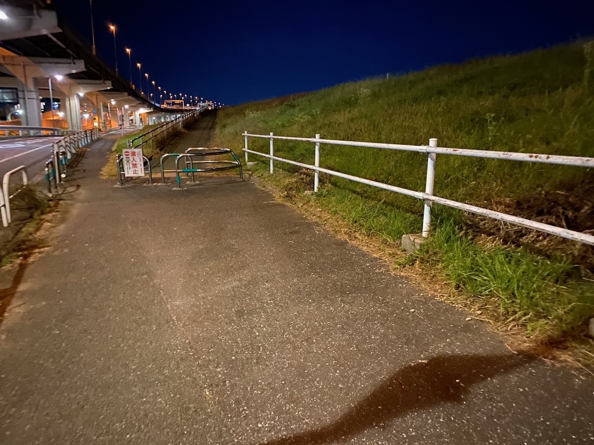 f:id:TrpFrog:20211205144349j:plain