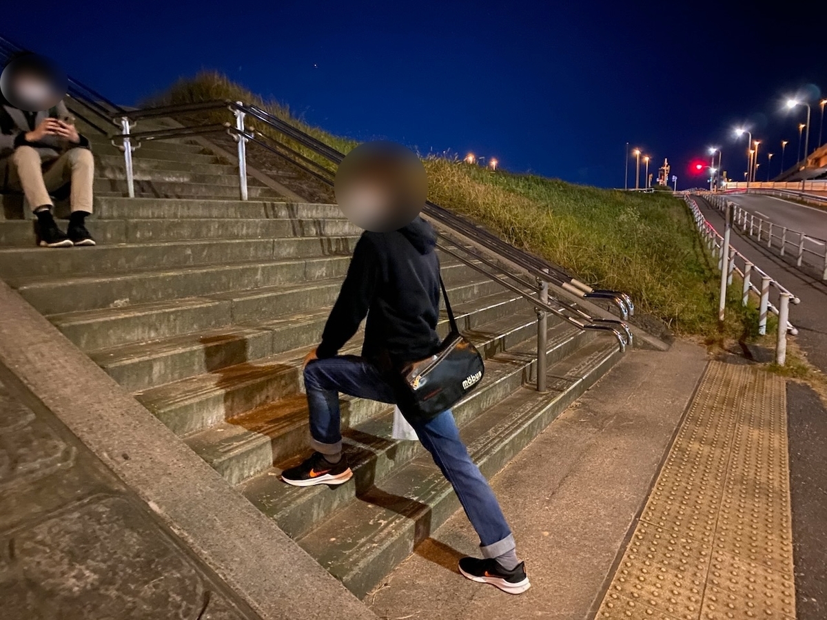 f:id:TrpFrog:20211205144652j:plain