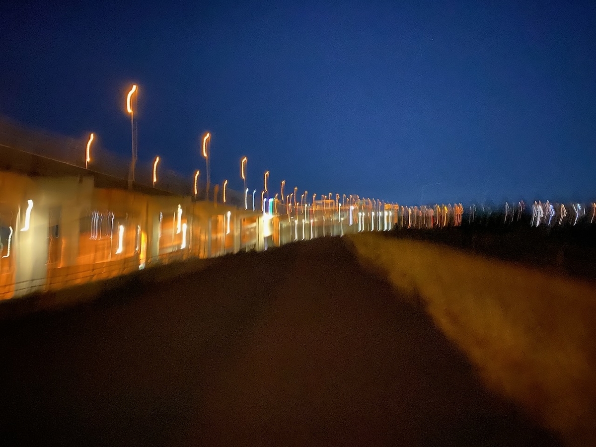 f:id:TrpFrog:20211205144849j:plain