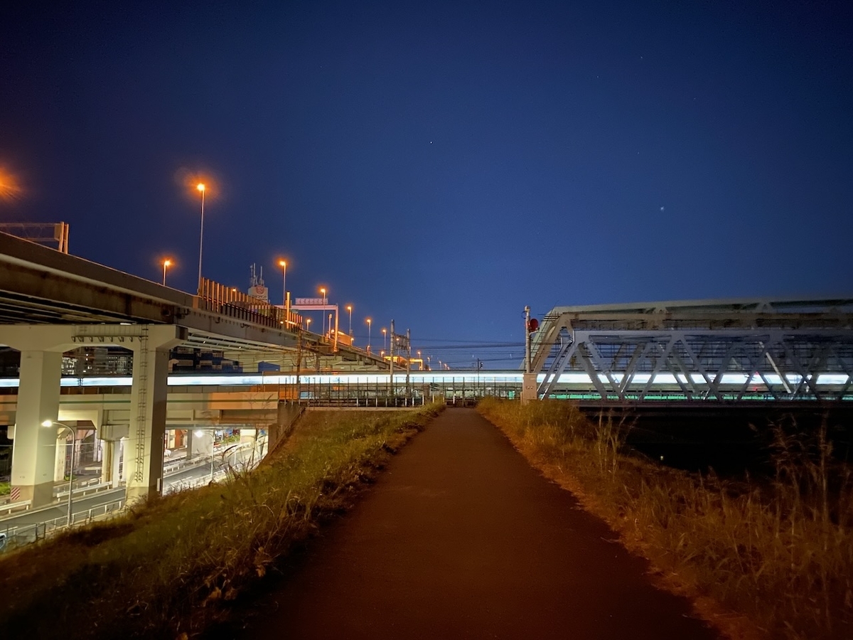 f:id:TrpFrog:20211205144954j:plain