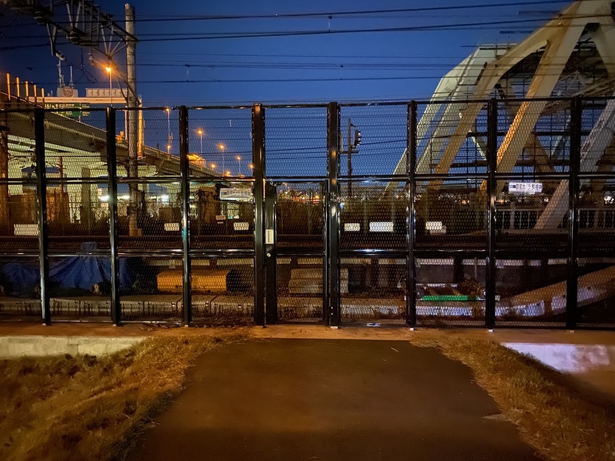 f:id:TrpFrog:20211205145138j:plain