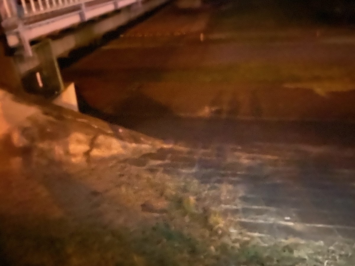 f:id:TrpFrog:20211205145305j:plain