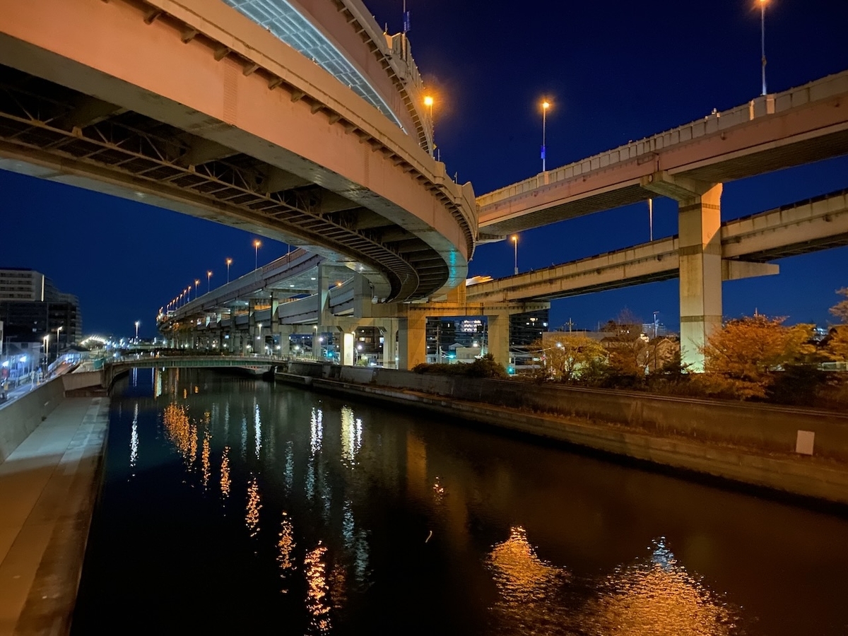 f:id:TrpFrog:20211205160627j:plain