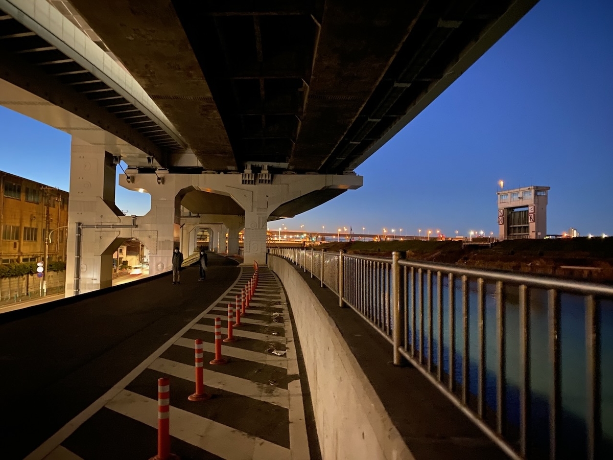 f:id:TrpFrog:20211205161858j:plain